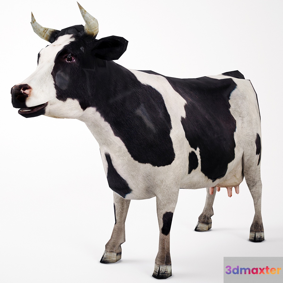 Cow - No.2 3D Max