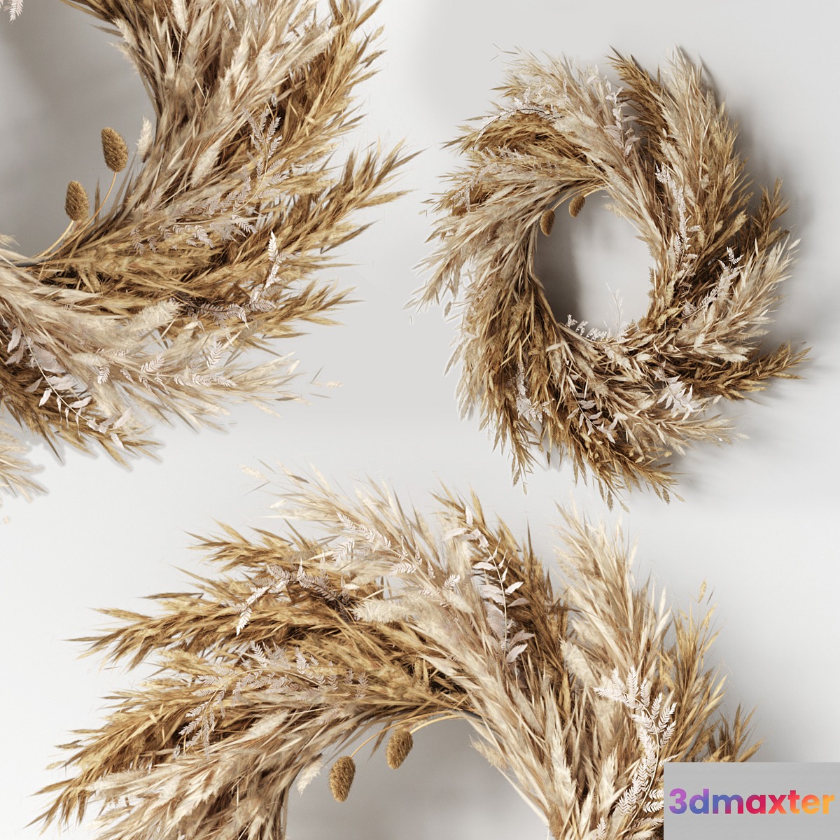 Pampas wall decor-02