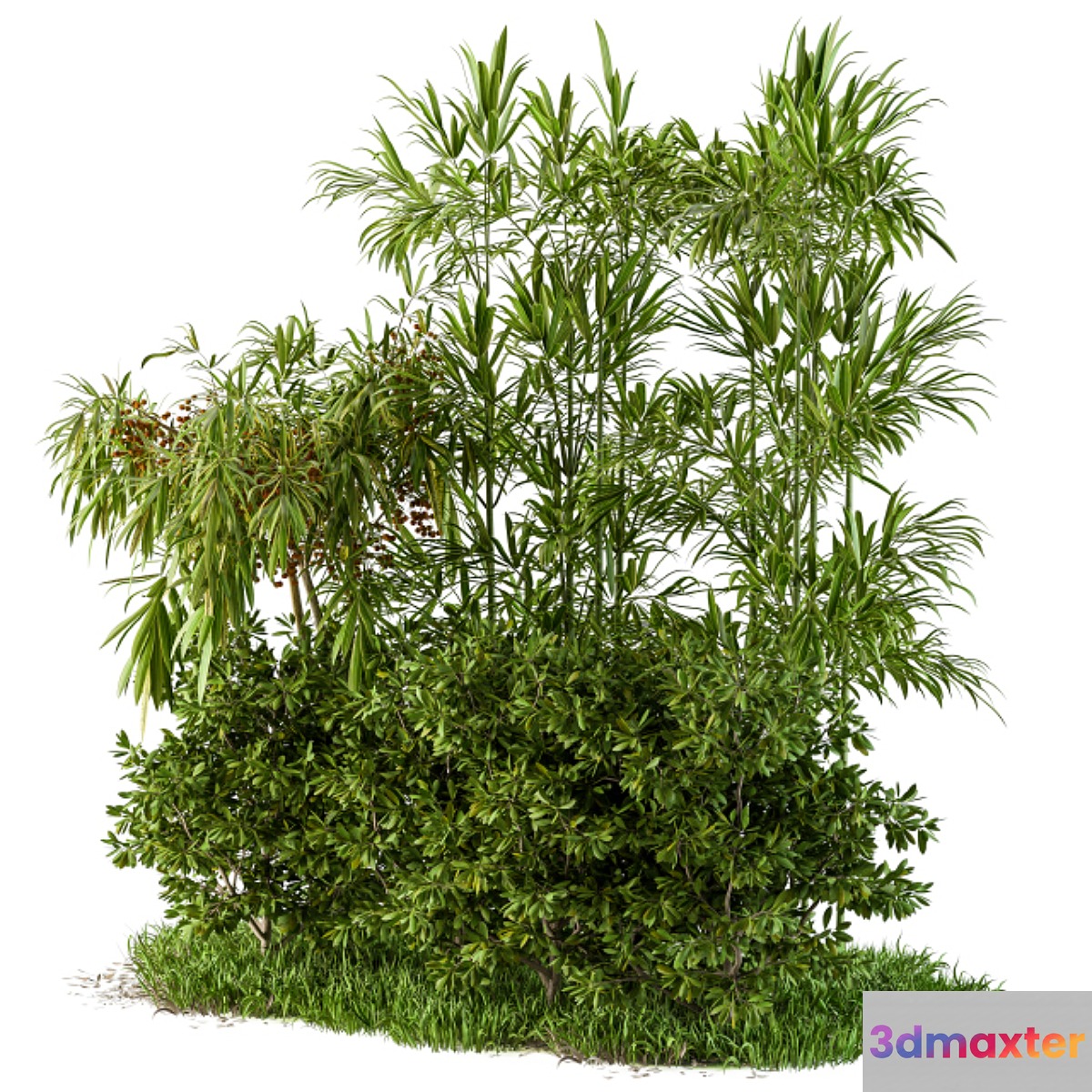 Garden set tropical and bush 3D Max