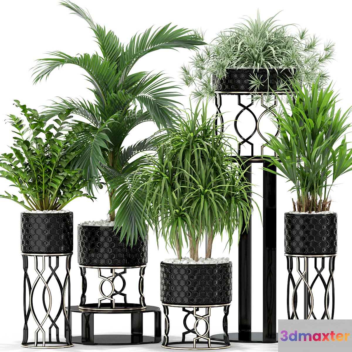Plants collection 367 3D Max