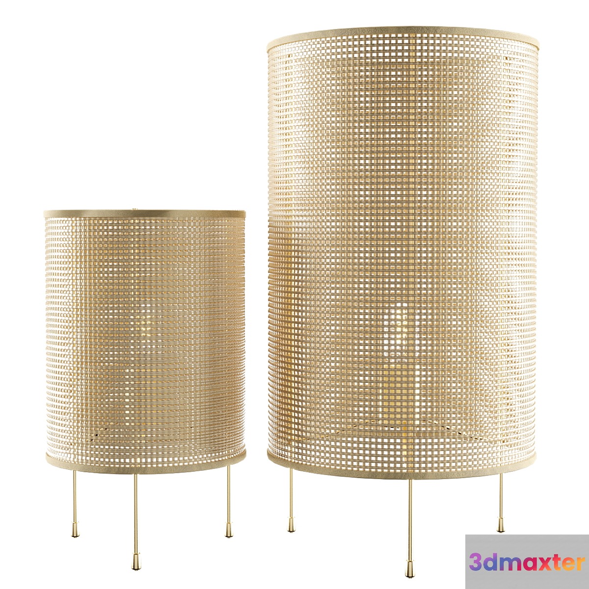 Zara Home Rattan Lamp 3D Max
