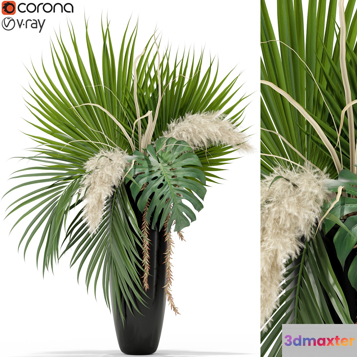 Plants collection 368