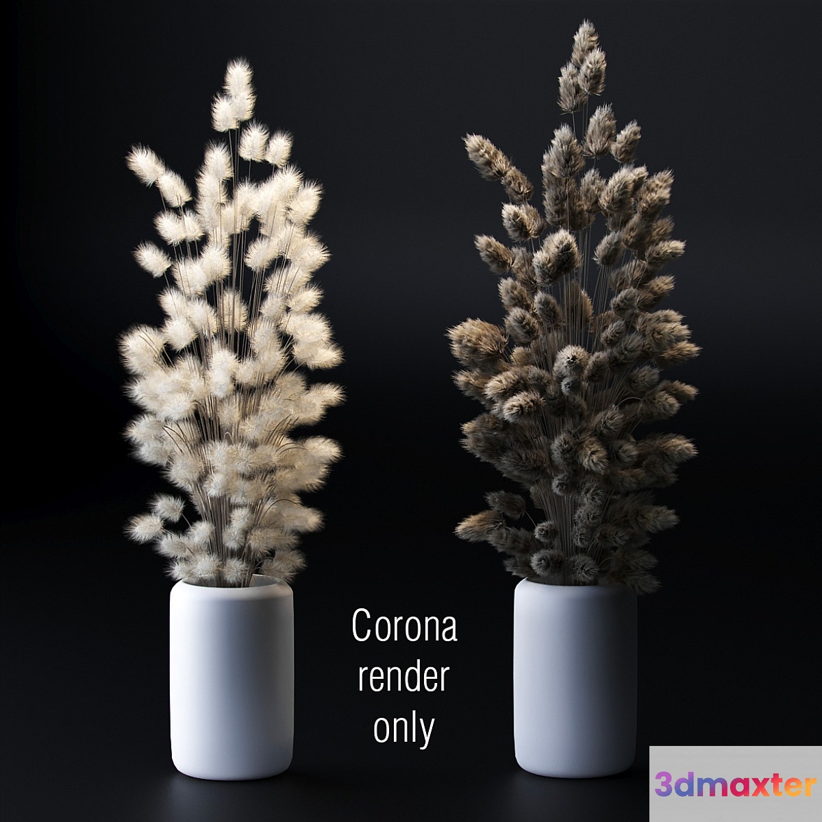 Bouquet of dried flowers. 2 models