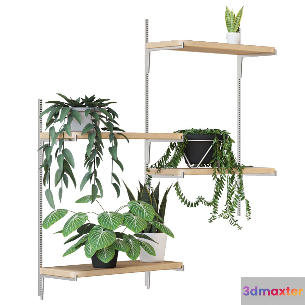 Houseplant set 1
