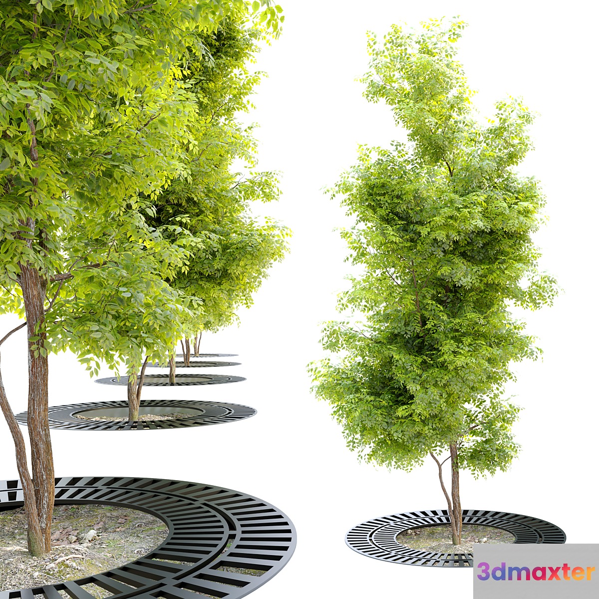 Tree with metal grate 3D Max