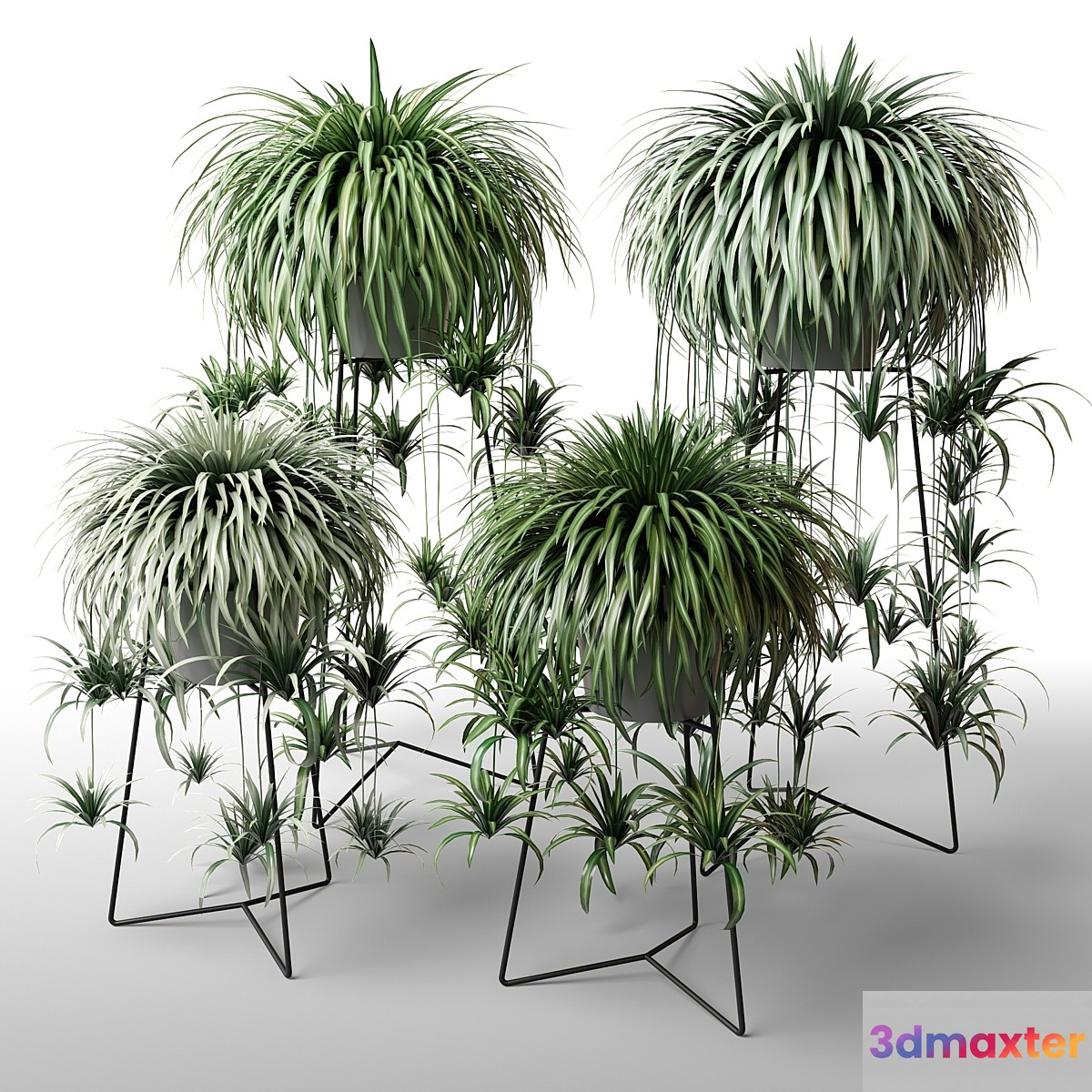 Indoor plants in floor planters - No.3