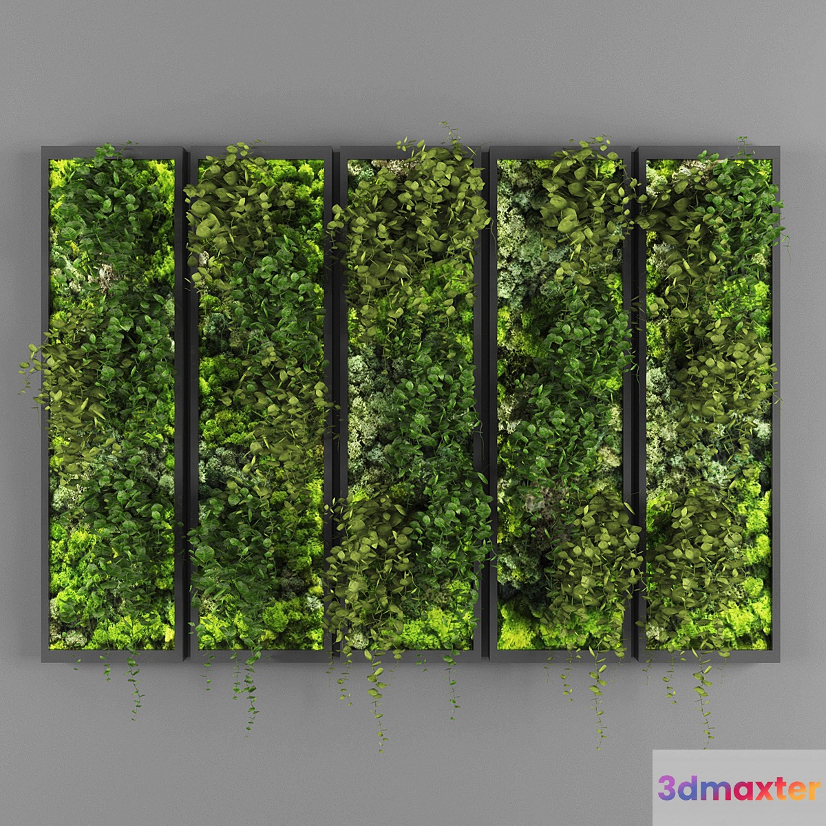 Vertical garden 110