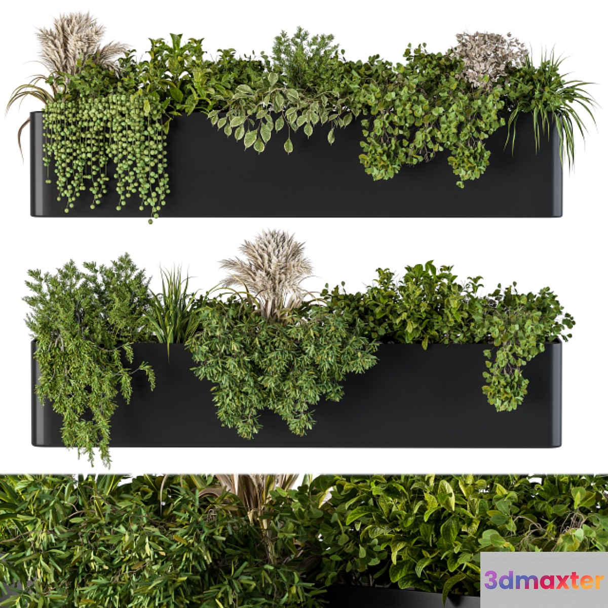 Plant Box on Wall 04