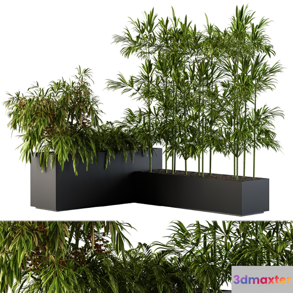 Outdoor Plants Black Plastic Box - Set 73