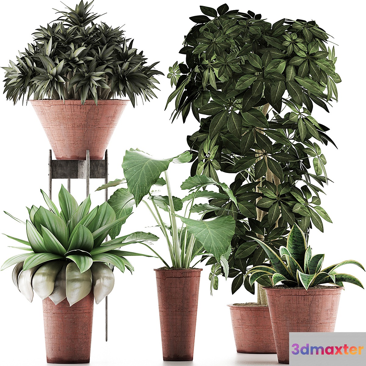 Plants Collection 35 3D Max
