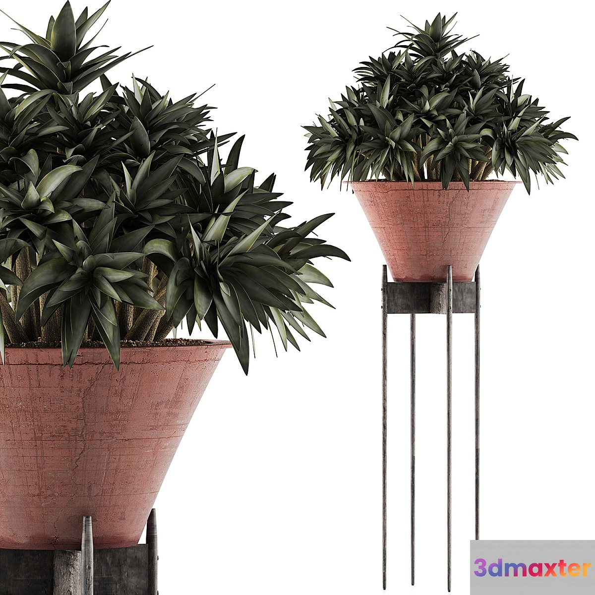 Plants Collection 49 - No.2 3D Max