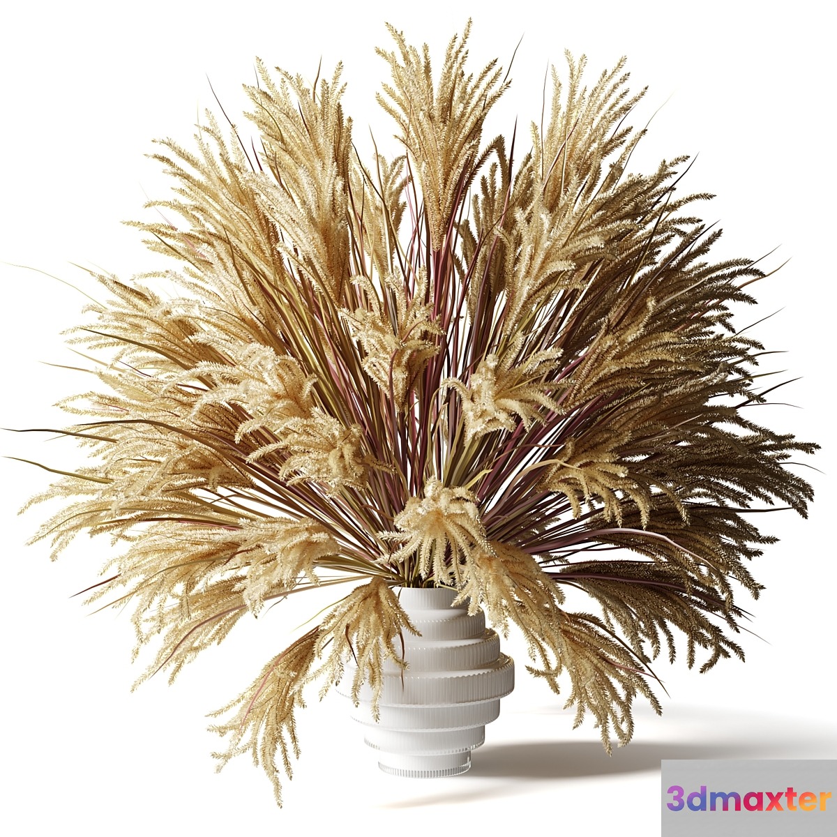 Fluffy bouquet of dry grass with tails in a glass white vase