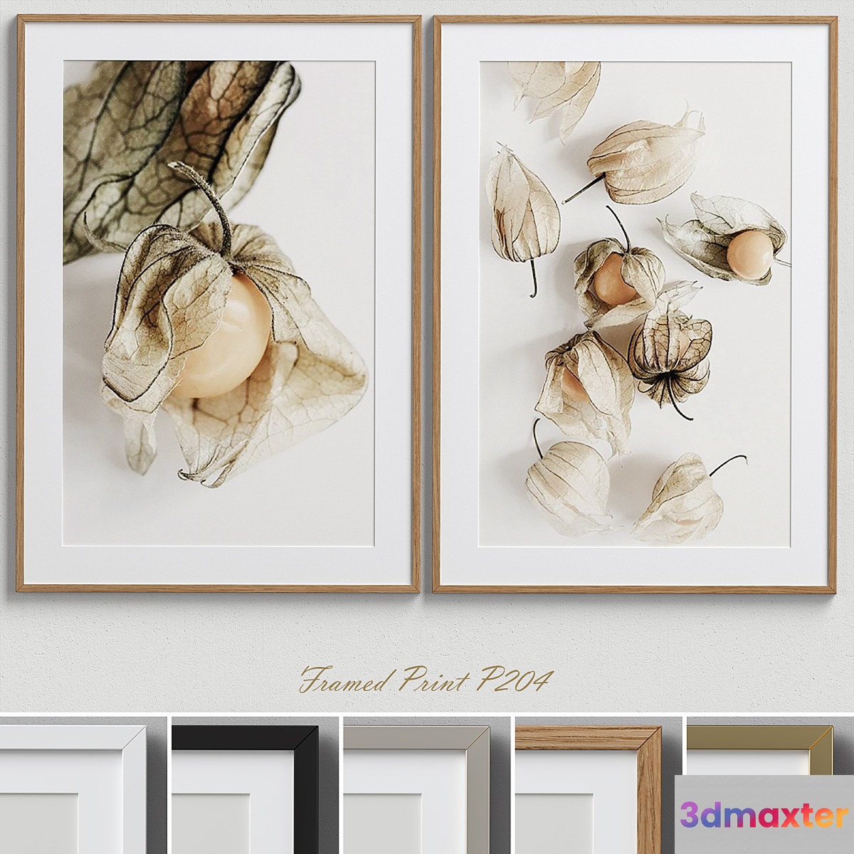 Framed Print P-204