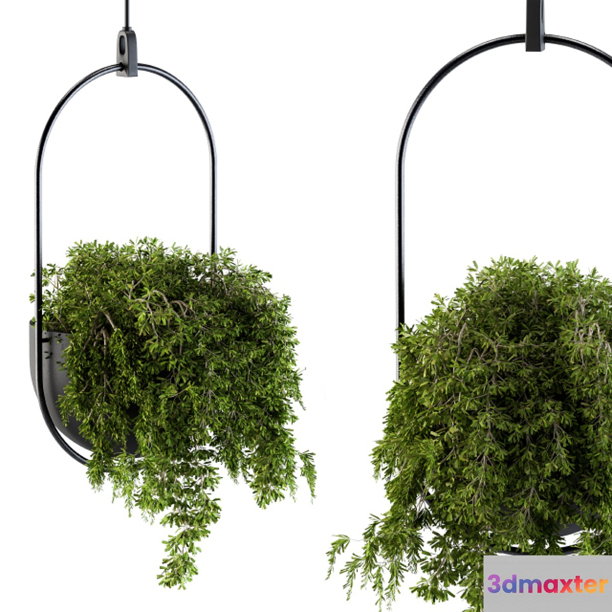 Hanging box plant - Set 83 3D Max