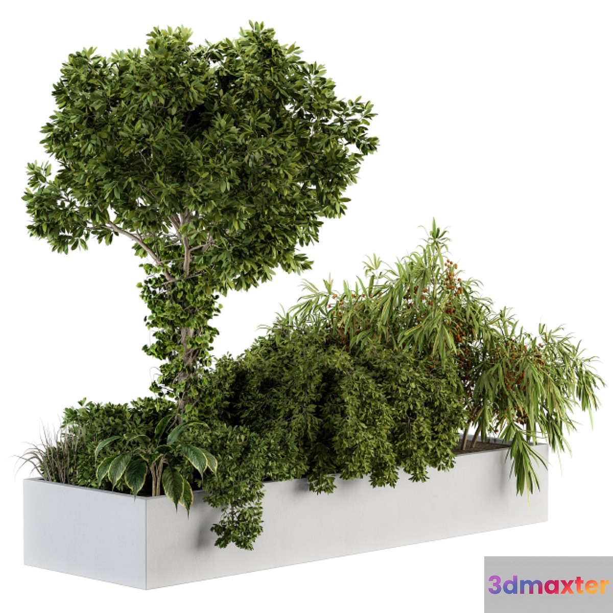 Garden set tropical and Tree - Grden Set 03 3D Max