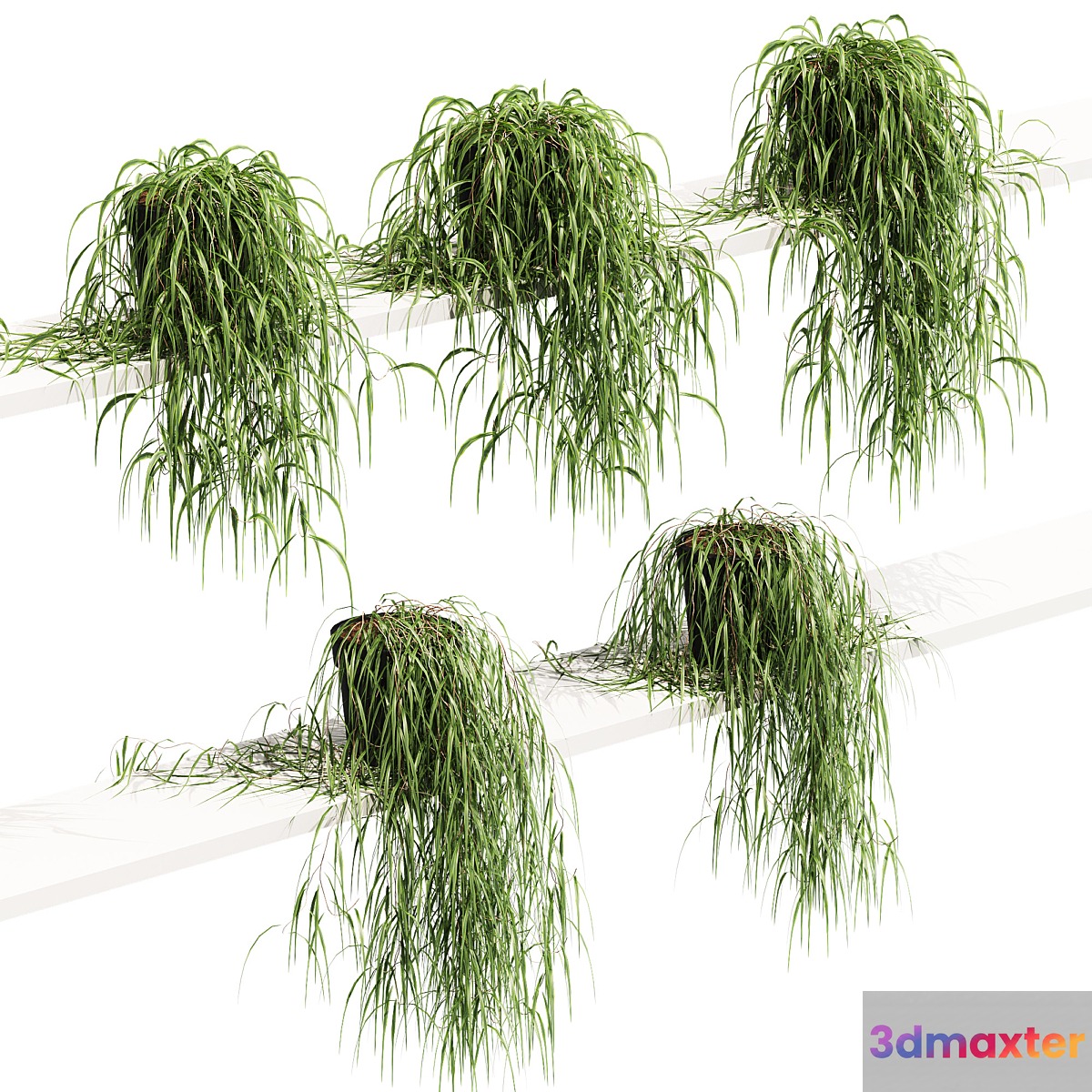 Hanging potted plant on the shelf. 5 models - No.2