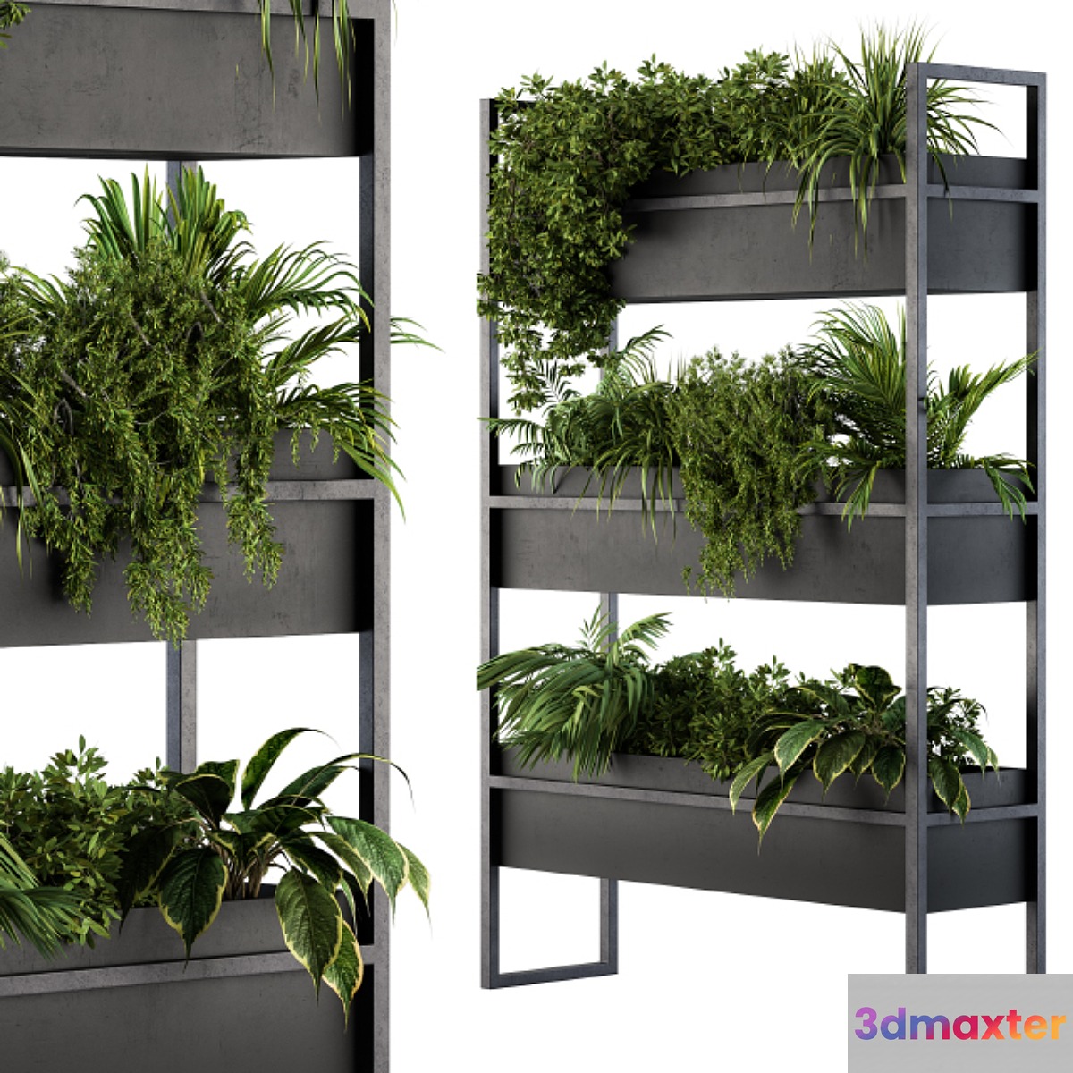 Black Box Plants on stand 05