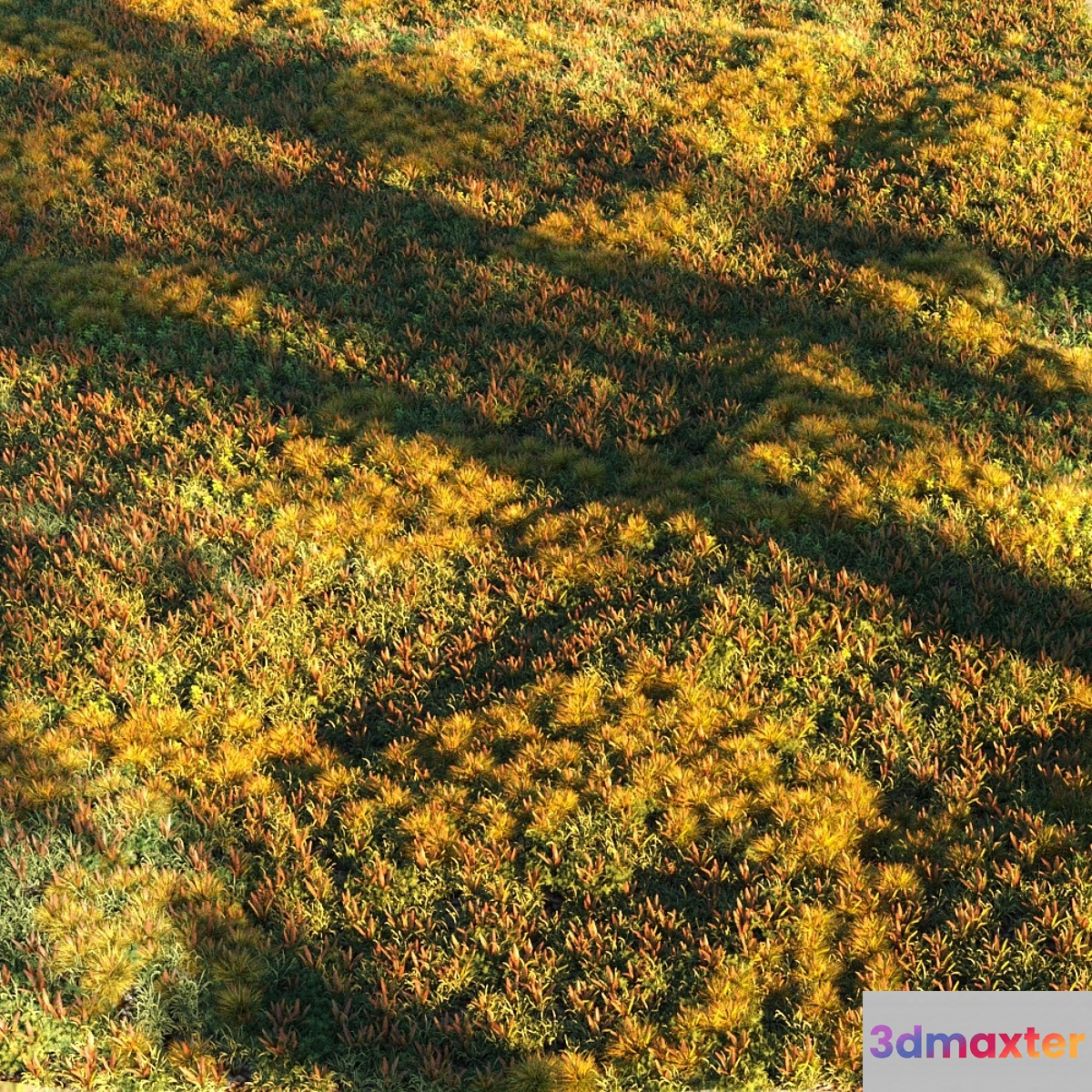 Grass set 2 3D Max