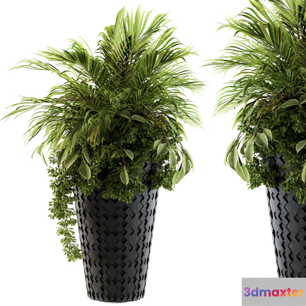 indoor Plant Set 89 - Palm Bush 3D Max
