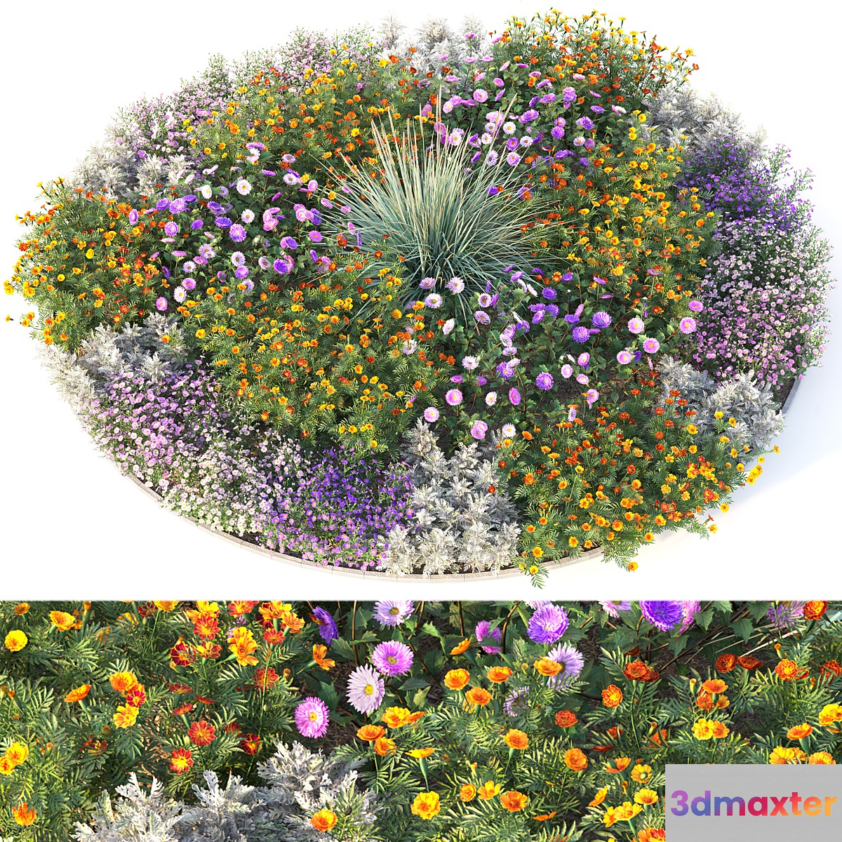 Flower garden 4