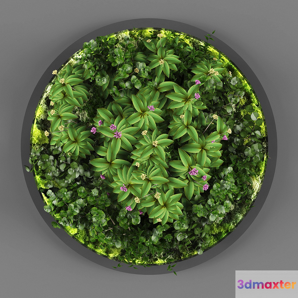 Vertical garden 113 3D Max
