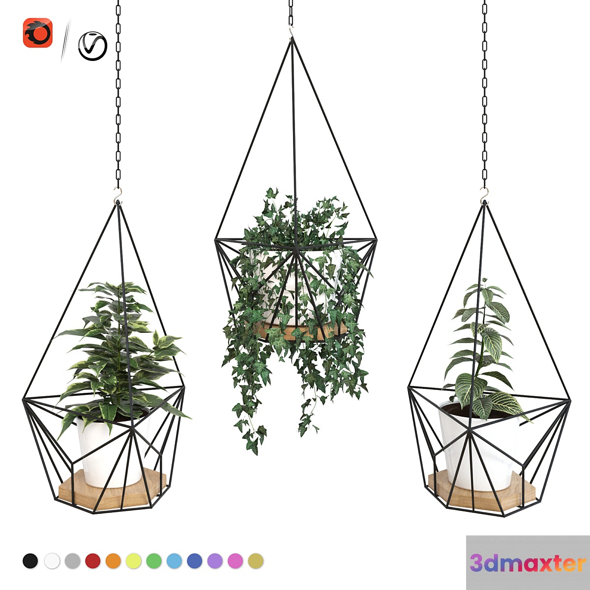Plants in hanging planters ARCHPOLE Shuttle2 3D Max