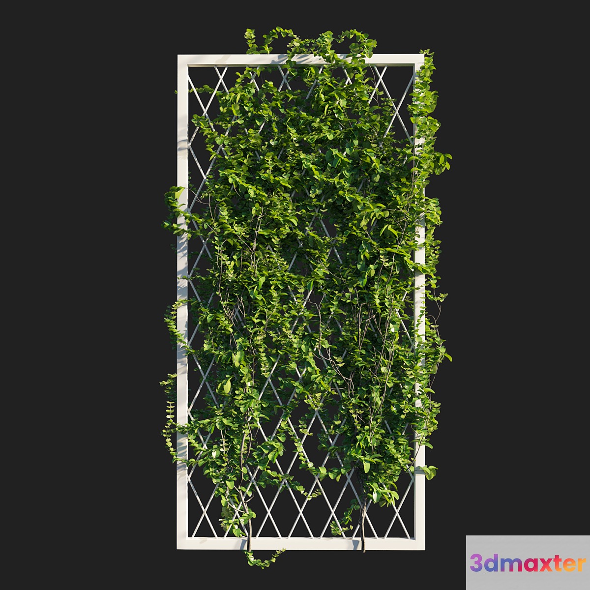 Vines on wall 3D Max