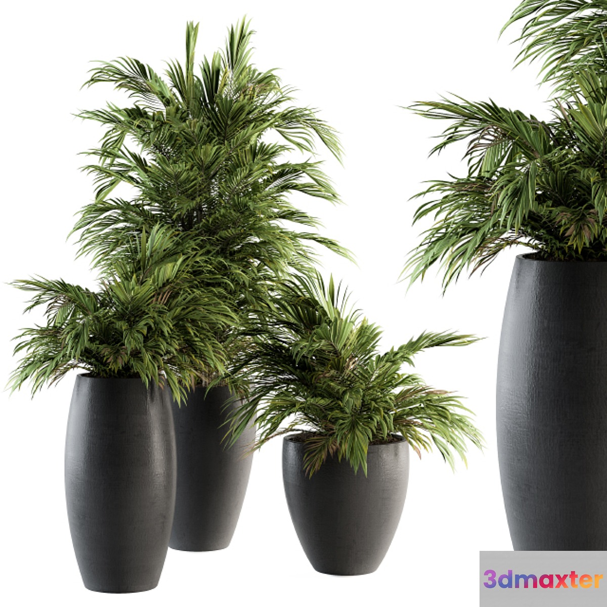 Indoor Plant Set 88 - Tropical 3D Max