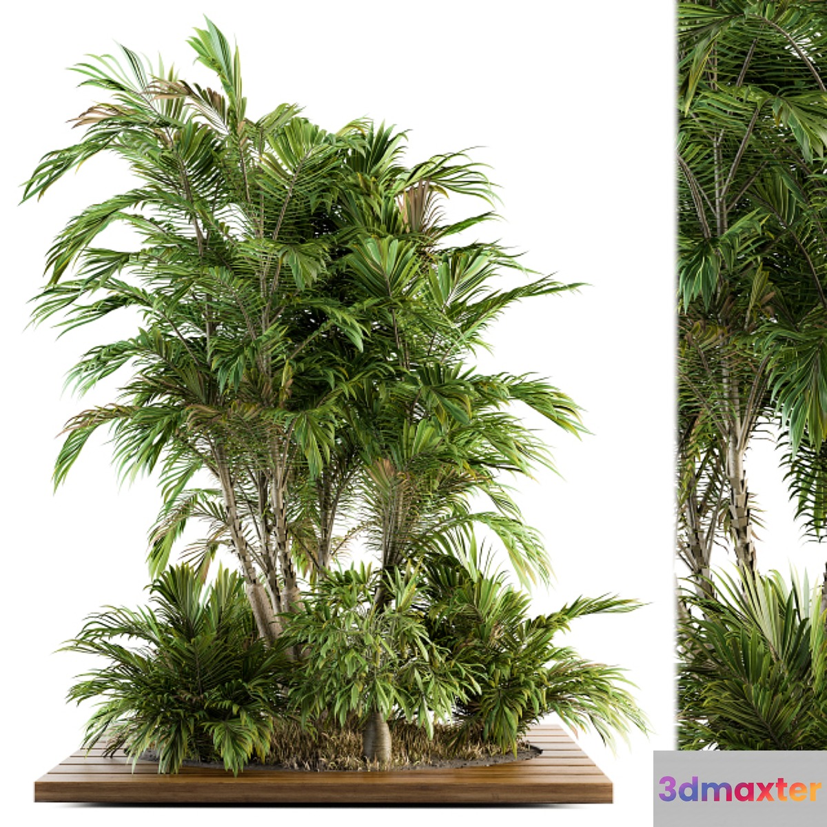 Garden set Tropical bush and Tree - Garden Set 05