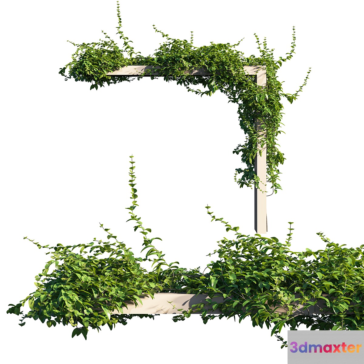 Vines on Wall 01 3D Max