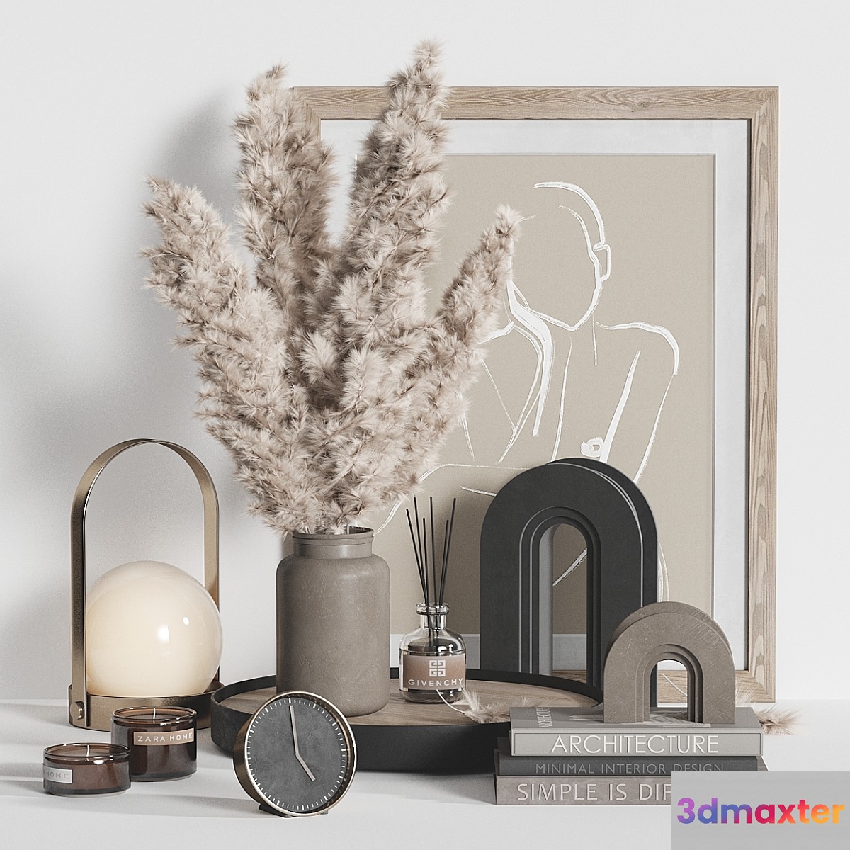 Decorative Set Dried Plant
