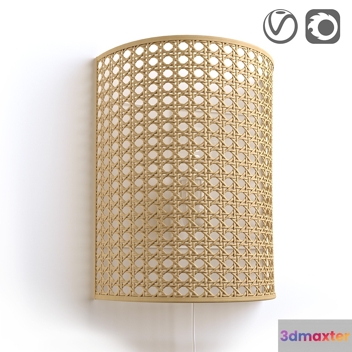Wicker rattan wall lamp DOLKIE 3D Max