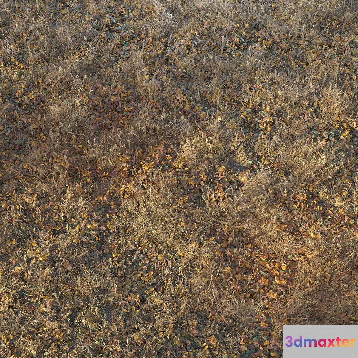 Dry autumn grass - No.3 3D Max