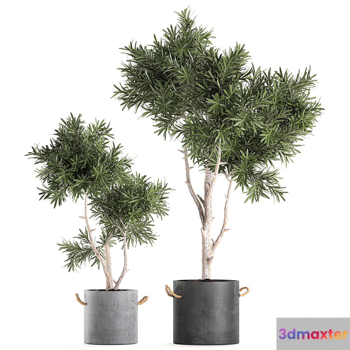 Decorative small tree in a black concrete pot topiary. Set 741. - No.2