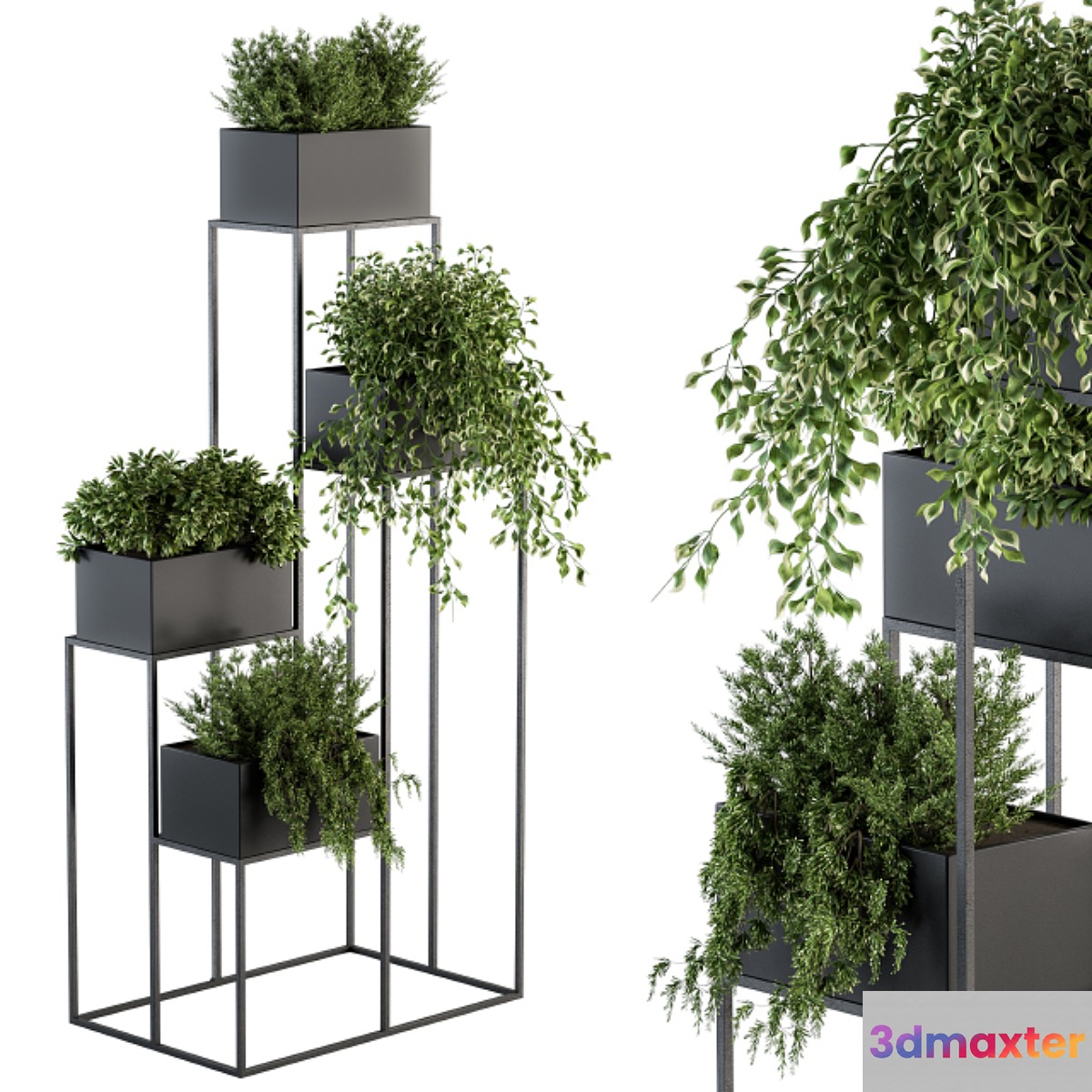indoor Plant Set 100 - Black stand