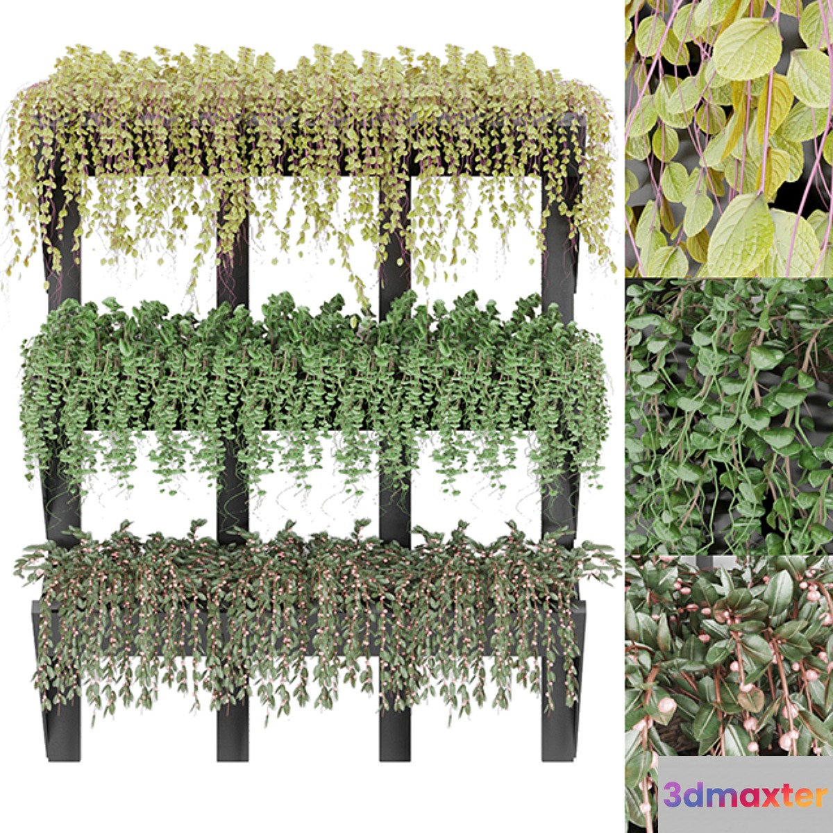 Collection plant vol 8 3D Max