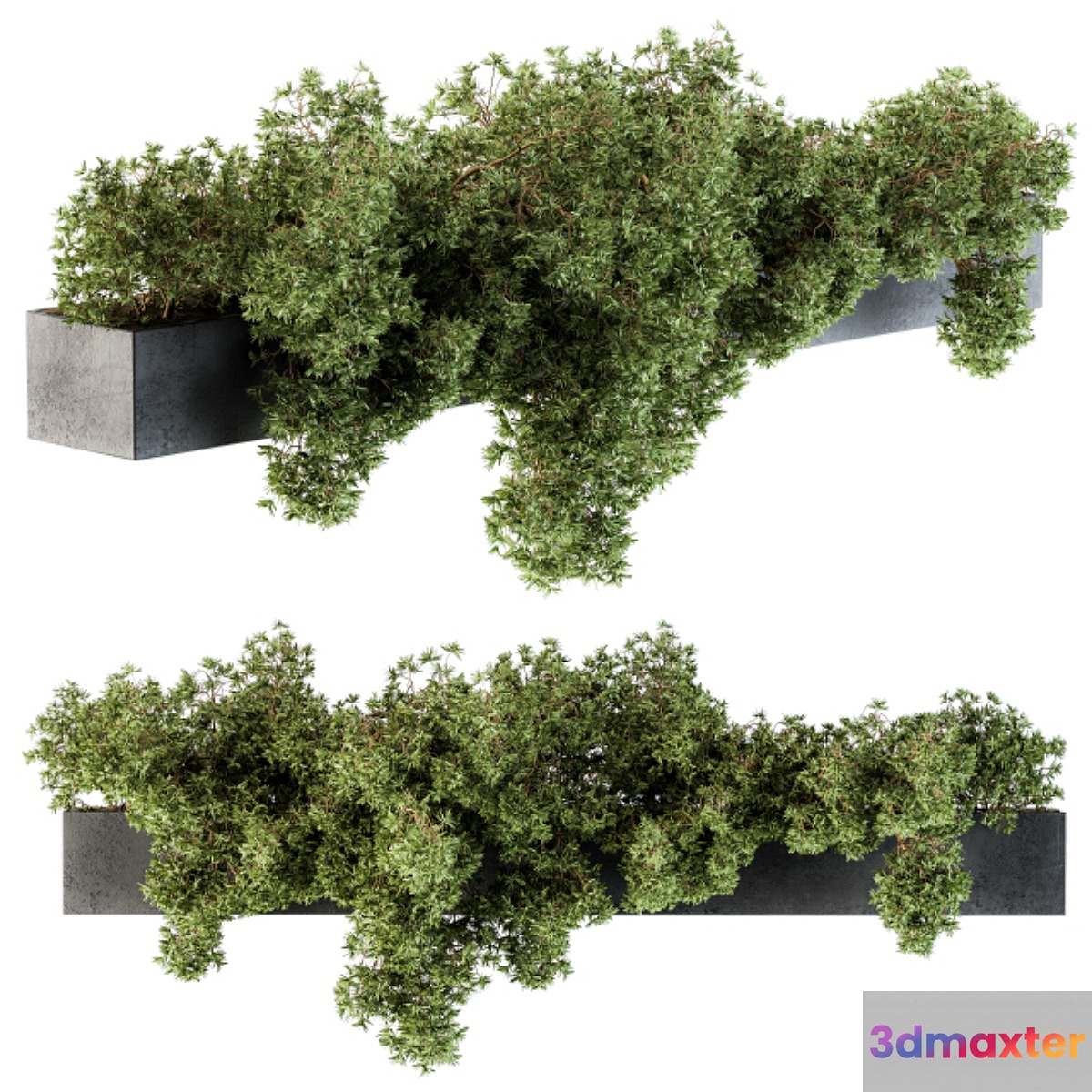Outdoor Plant Set 103 - Hanging Plants - No.2 3D Max