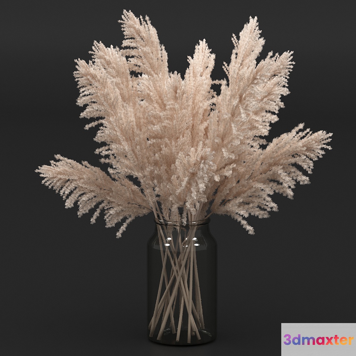 Pampas Bouquet 3D Max