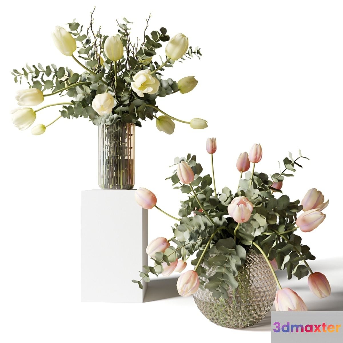 Bouquets of eucalyptus and tulips in glass vases