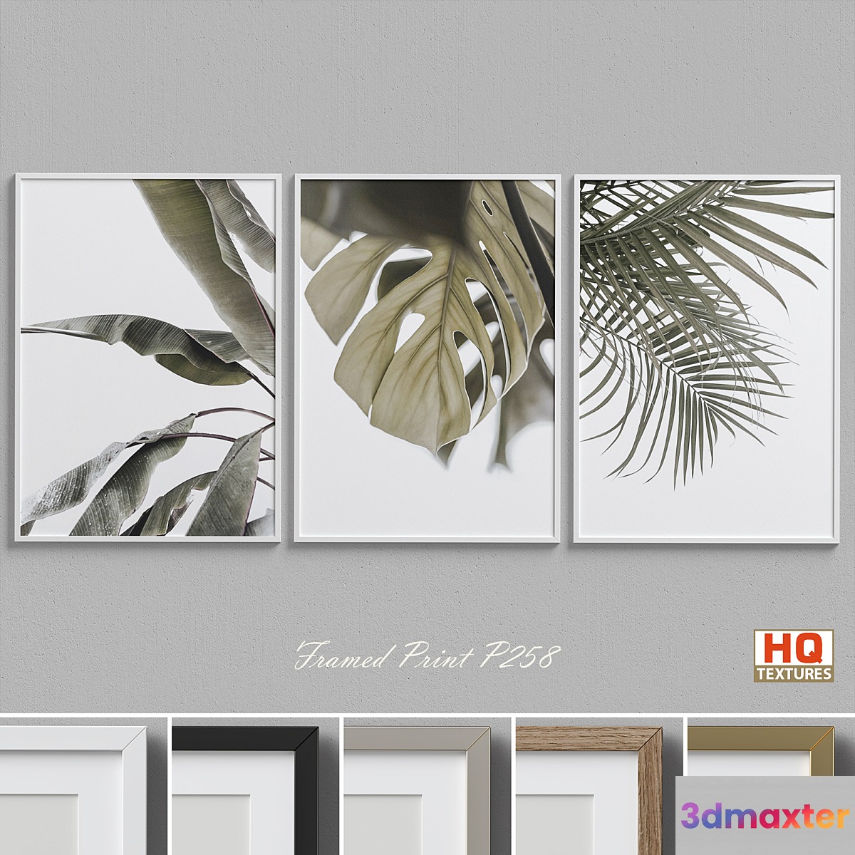 Framed Print P-258 3D Max