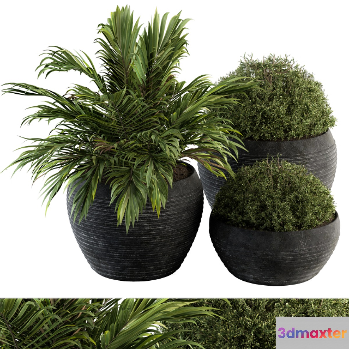 Outdoor Plants tree in Concrete Pot - Set 104 3D Max