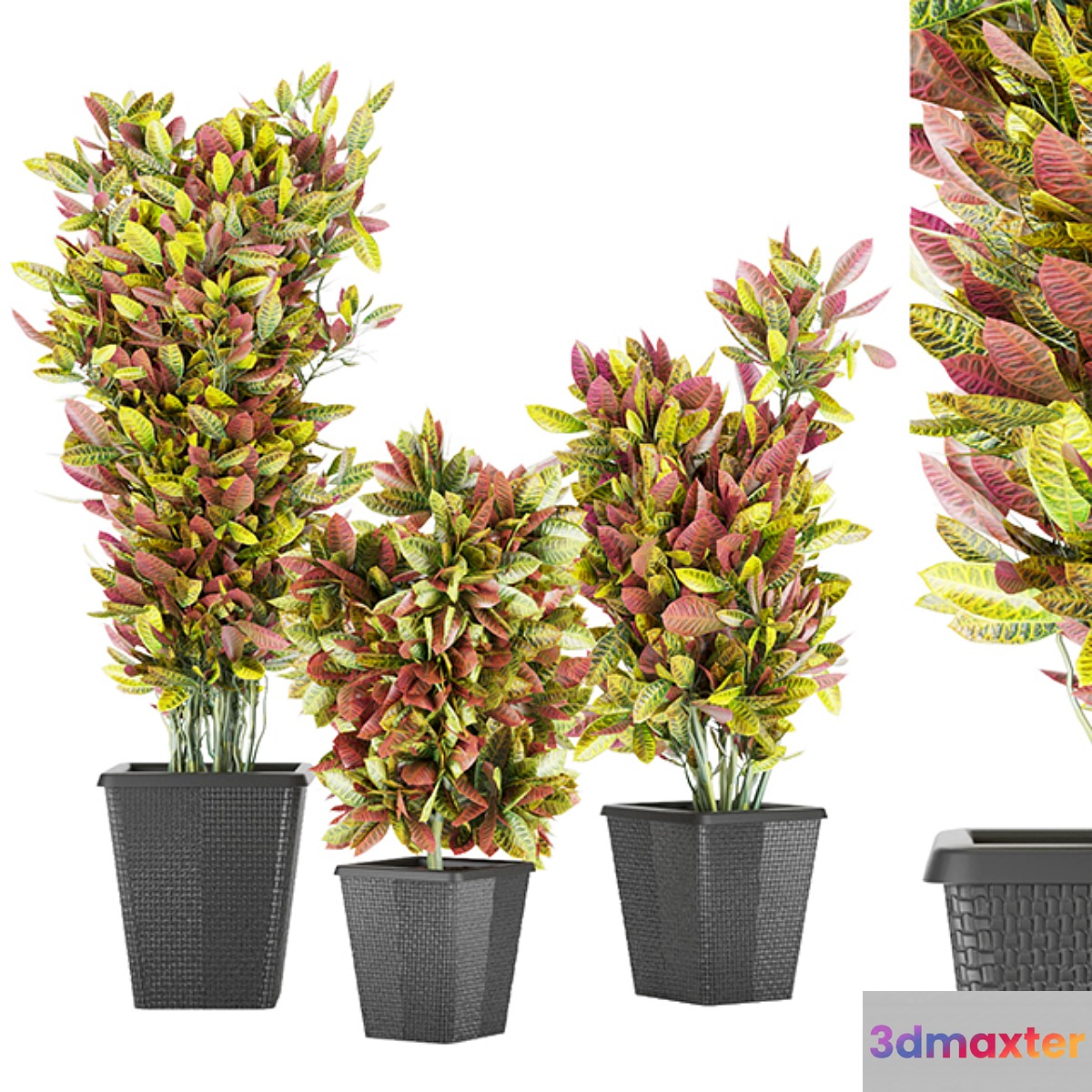 Collection plant vol 12 3D Max