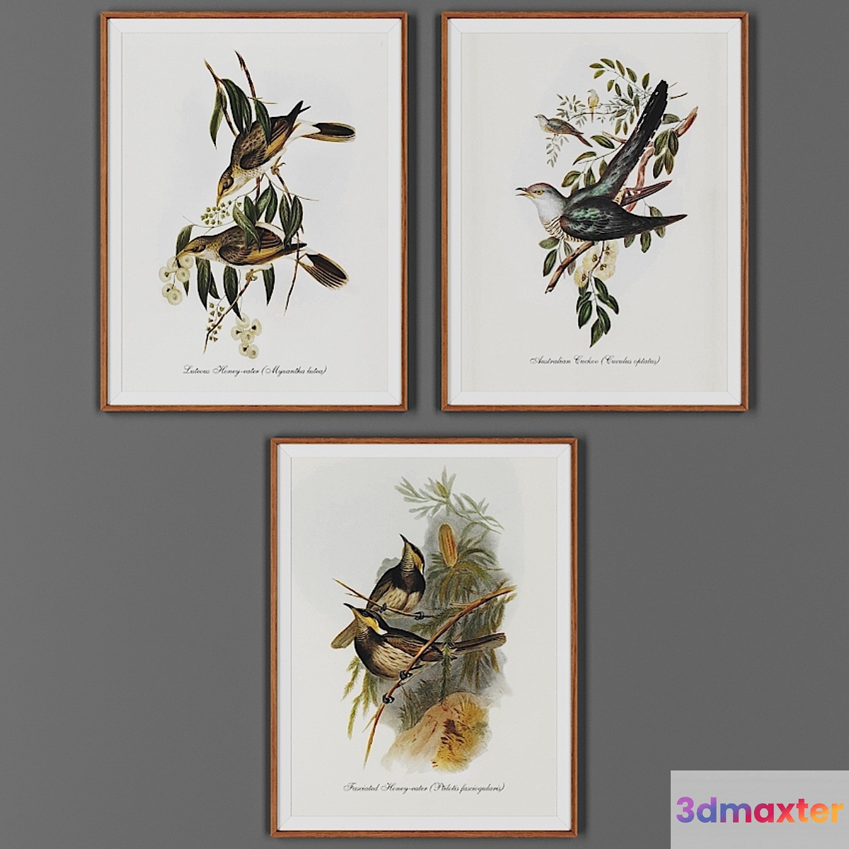 Picture frame set 00040-59 3D Max