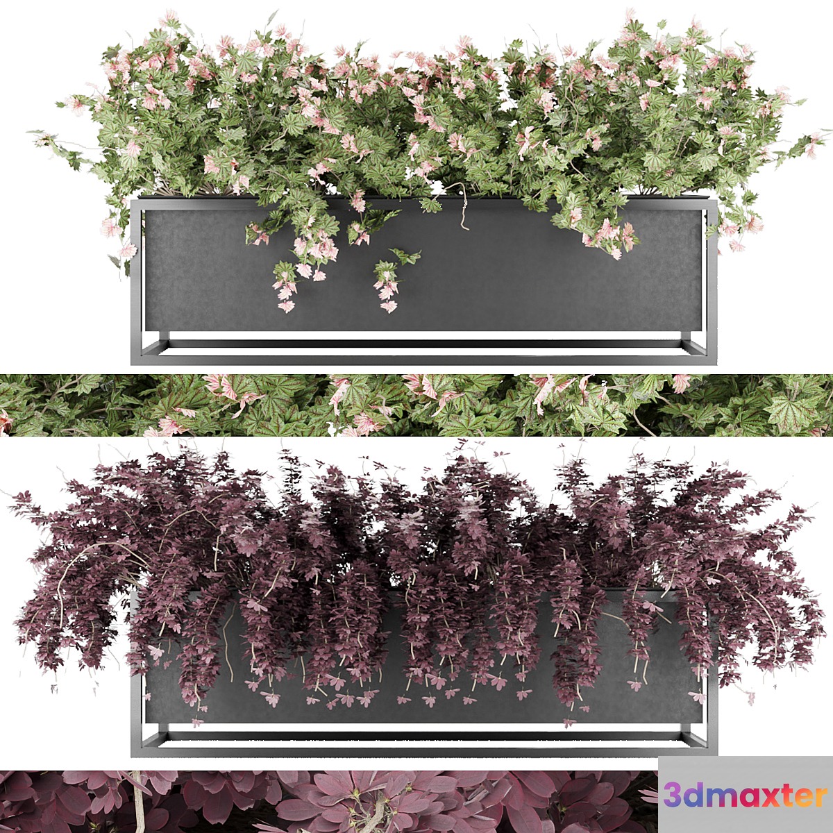 Collection plant vol 15