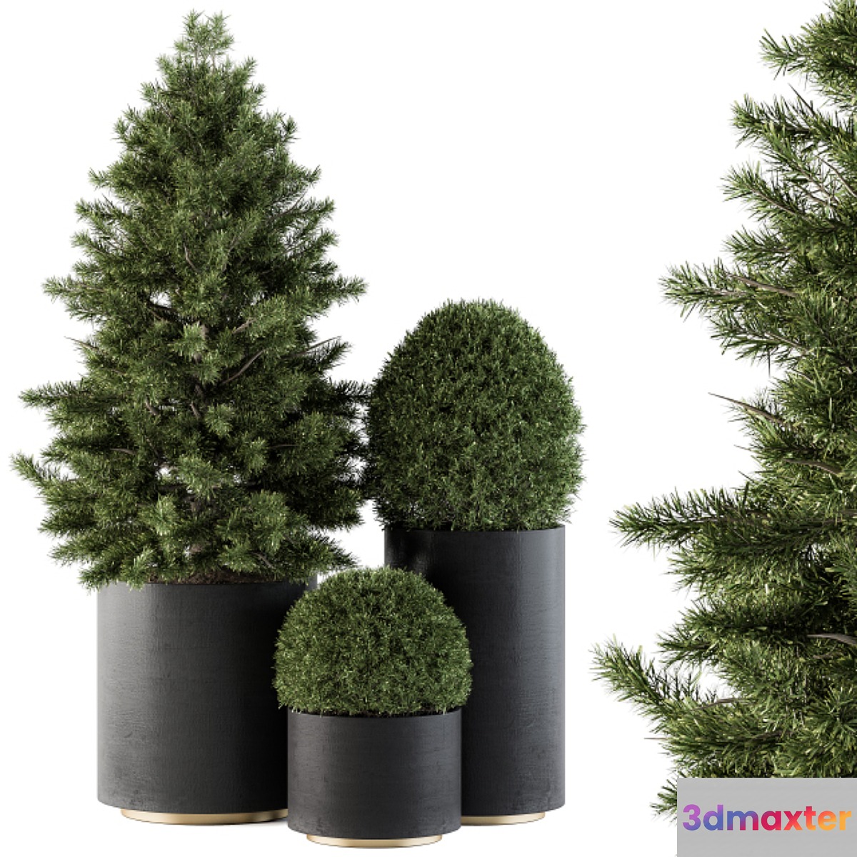 Outdoor Plants tree in Concrete Pot - Set 110