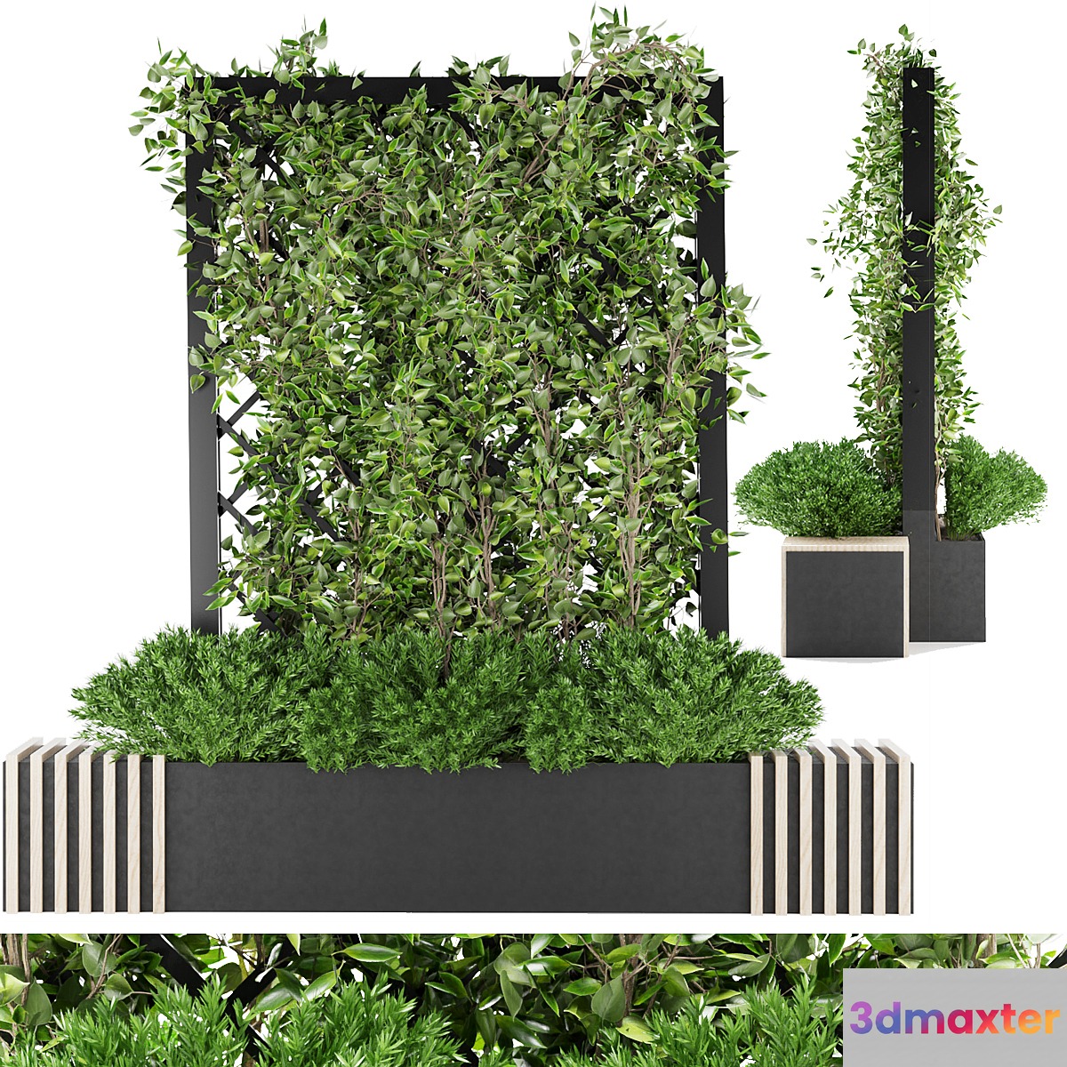 Collection plant vol 16
