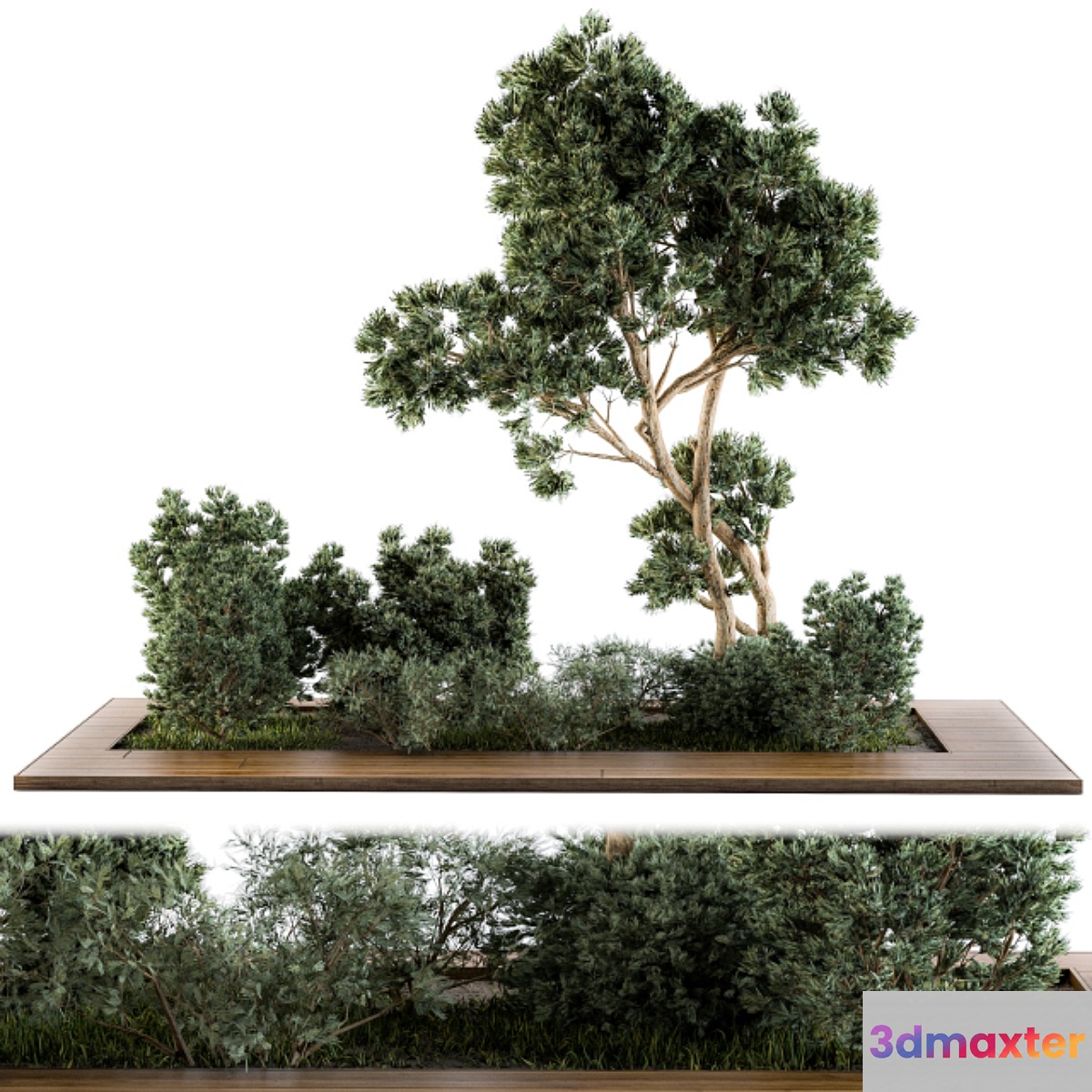 Garden set bush and Tree - Garden Set 06 - No.2 3D Max