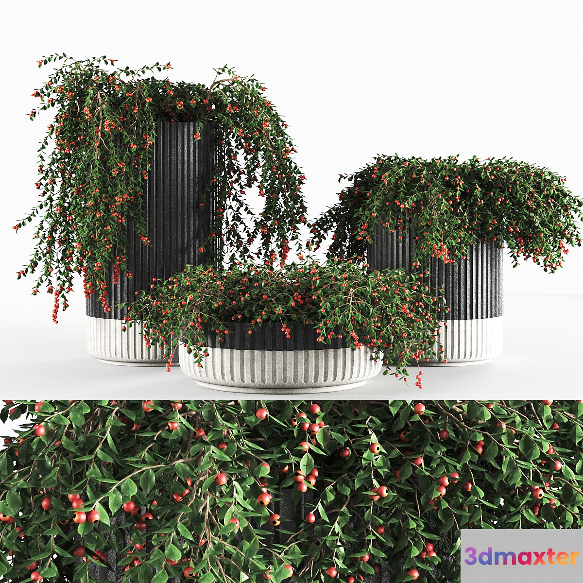 plant933 3D Max