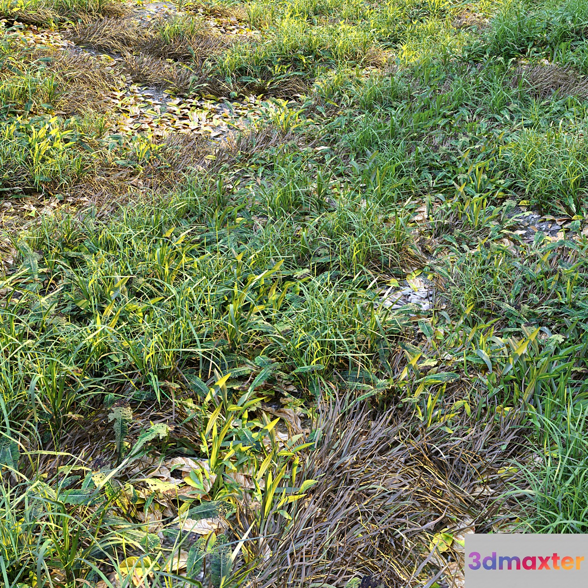 Meadow 2 3D Max