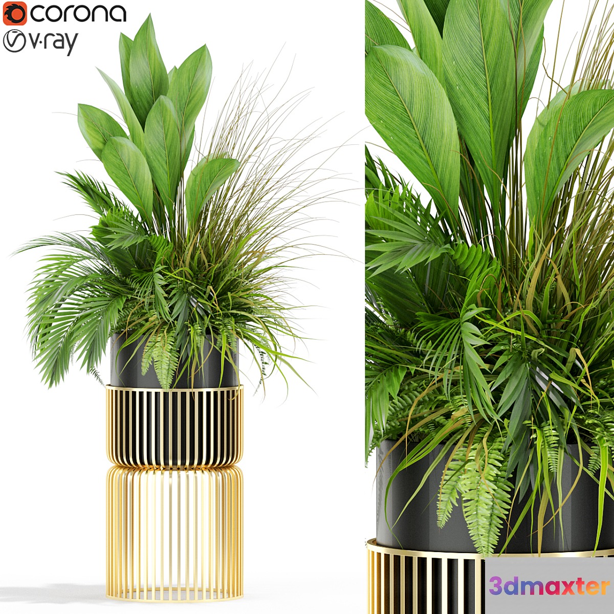 Plants collection 433 3D Max